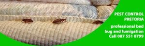 bed bug control pretoria.jpg  